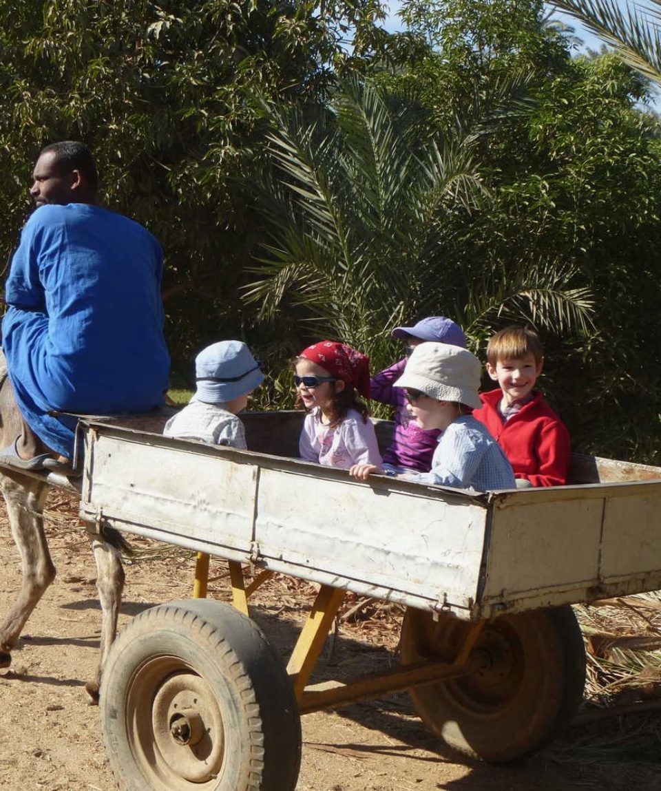 EGIPTO_PEDAHF_SQUARE_enfants-a-bord-dune-charrette-dans-une-palmeraie-en-egypte-2745