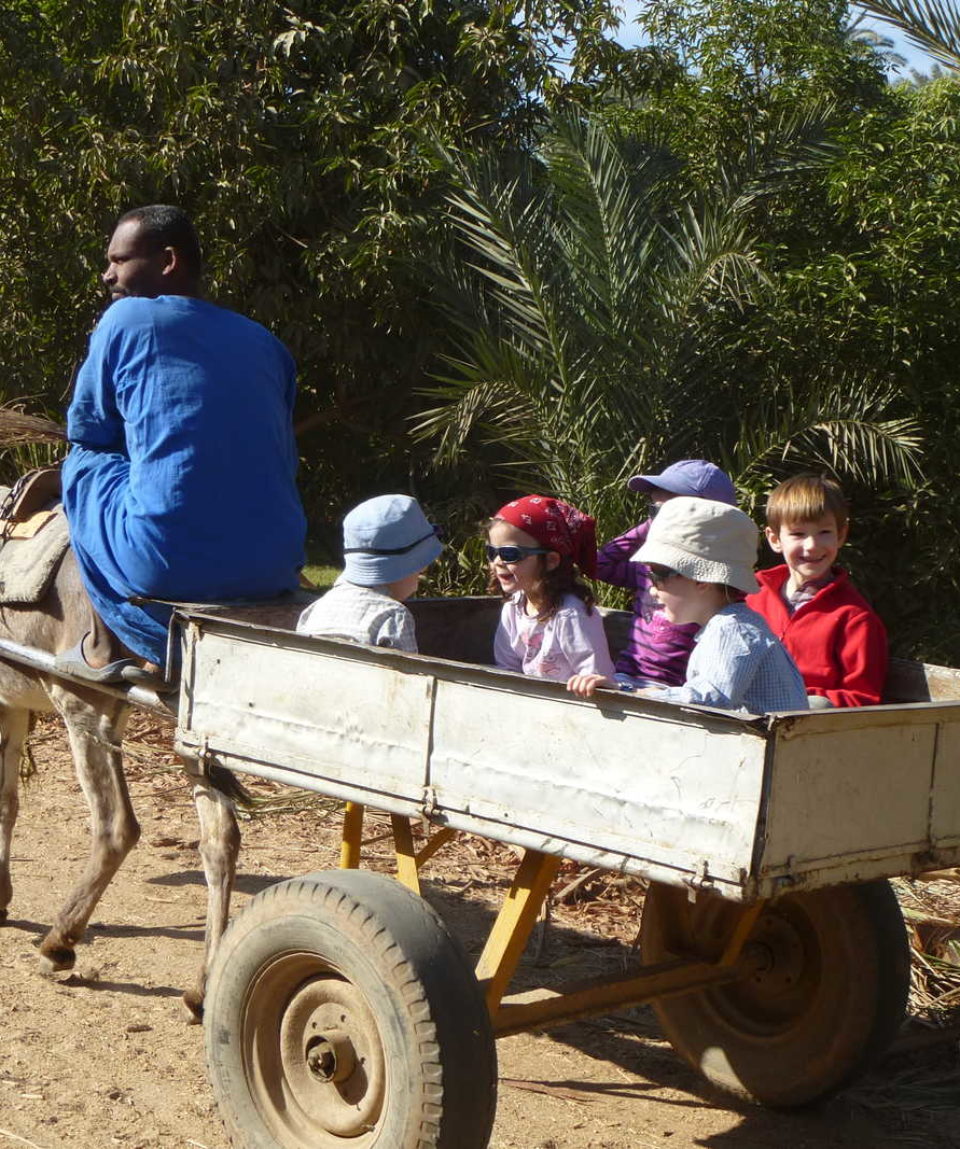 EGIPTO_PESANF_enfants-a-bord-dune-charrette-dans-une-palmeraie-en-egypte-2745
