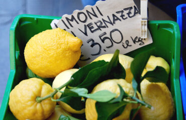 ITALIA_EICINQ_citrons-de-vernazza-cinque-terre-2890