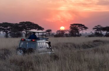 KENIA_KCOUR_coucher-de-soleil-lors-dun-safari-tanzanie-hu-chen-21834
