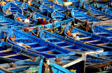MARRUECOS_MMER_barques-bleues-dans-le-port-dessaouira-maroc-13035