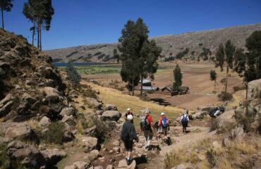 PERU_UPIV_randonnee-sur-la-peninsule-de-ccotos-lac-titicaca-7597