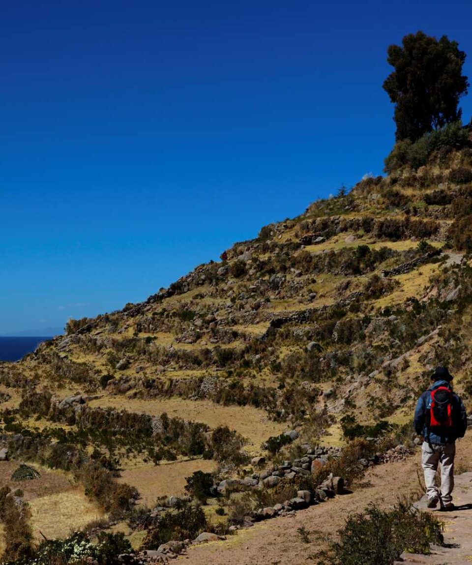 PERU_UPIV_randonneurs-au-bord-du-lac-titicaca-au-milieu-des-terrasses-incas-3759